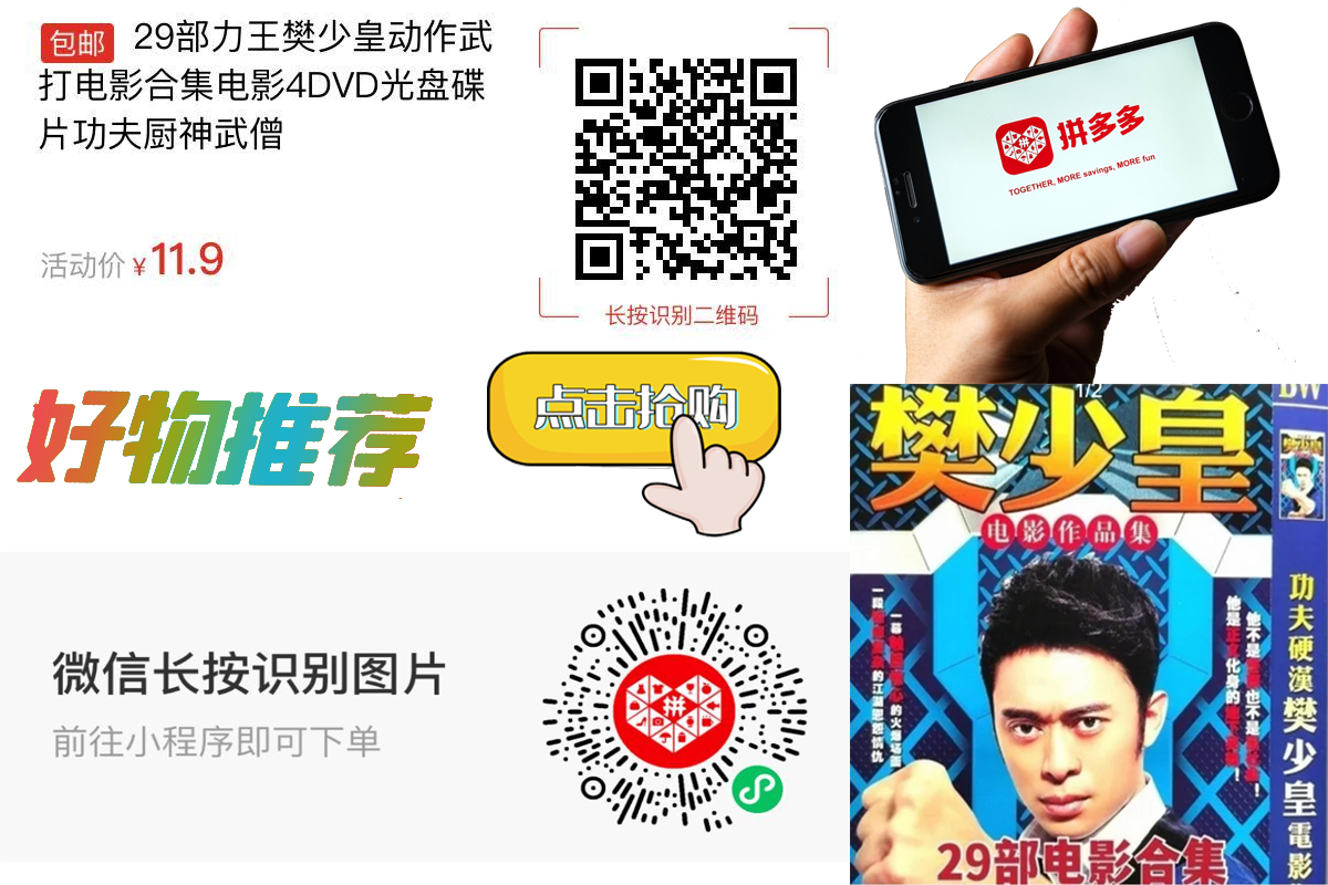【包邮】29部力王樊少皇动作武打电影合集电影4DVD光盘碟片功夫厨神武僧